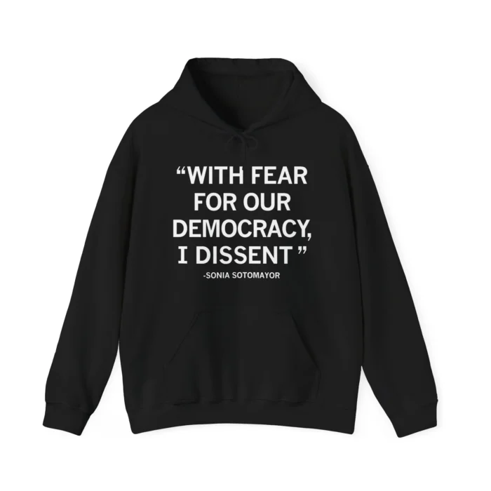 with fear for our democracy hoodie